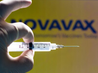 Novavax, cel mai nou vaccin aprobat de UE, este realizat din celule de molie și scoarță de copac. Testat de o româncă