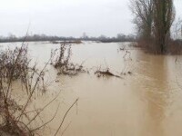 Inundațiile au făcut prăpăd în vestul României, la sute de hectare cu culturi agricole