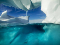 Zeci de forme de viață, descoperite sub calota glaciară antarctică. ”Ar putea fi cel mai netulburat habitat de pe Pământ”