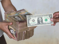 bani venezuela