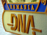 Suspiciuni de corupție la poliție. DNA a descins la Poliția Capitalei, IPJ Călărași și Poliția Locală București
