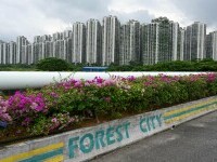 forest city
