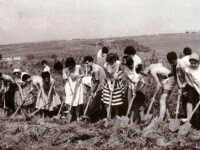 Studenti in comunism