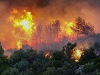 Incendii în Grecia