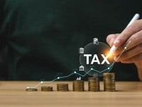 impozite si taxe 2024