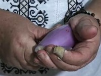 Obiceiul calendarului de ceapă de Anul Nou. Previziuni pentru anul 2024