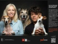 (P) Studiu Red Panda: De ce preferă bucureștenii să cumpere căței, în loc să adopte? Criterii și mituri