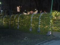 Vascul uriaș, instalația luminoasă din Parcul Kiseleff