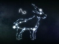 Zodia Capricorn - caracteristici, perioadă, piatră norocoasă, culoare și compatibilități. Totul despre această zodie