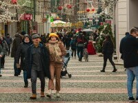 oamni pe strada, timisoara