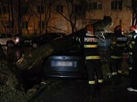 Furtuna din București a doborât zeci de copaci în câteva ore, 69 de mașini au fost distruse. Scăpăm de ploi după Crăciun