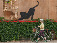 bansky pictura