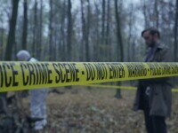 crima, politie, padure, sua