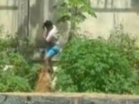 grădină zoologică din Brazilia