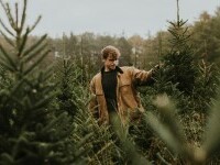 Cei mai frumoși brazi de Crăciun în 2025. Ghid complet pentru alegerea bradului perfect