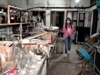 Singurul institut al sfeclei de zahăr din România a fost lăsat în paragină. Din 300 de angajați, mai are doar trei persoane