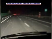 Resturi de animale sacrificate s-au împrăștiat pe A2, după ce au căzut dintr-un autovehicul. S-a deschis dosar penal. VIDEO