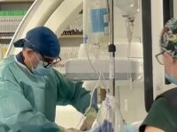 Birocrația împiedică întoarcerea medicilor români din diaspora. Se așteaptă și luni întregi pentru echivalarea diplomelor