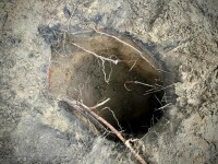 Polonia a descoperit un tunel săpat la granița cu Belarus. Cine îl folosea. FOTO