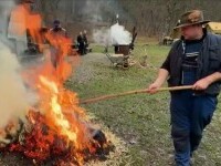 Târg de bunătăți tradiționale în Dumbrava Sibiului. Jumările fierbinți au făcut senzație printre vizitatori