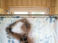 Când și cum trebuie să faci duș pentru o viață îmbunătățită. „Înfricoșător și nesigur, dar am avut o experiență vindecătoare”