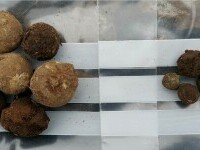 Descoperire uimitoare. Un „tezaur” de gloanțe din cea mai sângeroasă bătălie a Scoției a fost scos la „lumină” de arheologi