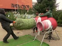 Românii intră în febra cumpărăturilor de Crăciun. Prețurile sunt și cu 10% mai mari față de anul trecut