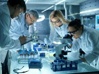 Oamenii de știință au secvențiat genomul uriaș al calamarului vampir. Descoperirile dezvăluie evoluția cefalopodelor