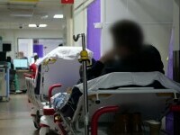 Sezonul de gripă a început mai devreme în România. O tulpină nouă circulă intens și la nivel european. Ce recomandă medicii