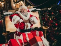 Renii lui Moș Crăciun – tot ce trebuie să știi despre faimoșii săi reni. De ce Rudolph e special