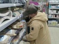 Bere pentru câini, printre cele mai apreciate cadouri de Crăciun pentru animalele de companie