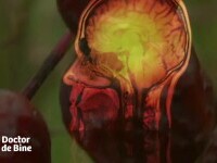 Legătura nebănuită dintre vitamina C și hormoni. Cum se poate lua numai din alimentație