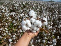 România va plăti SUA o datorie istorică de milioane de dolari pentru un produs la care nu s-ar fi gândit nimeni