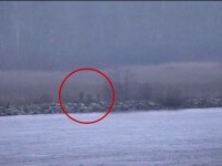 Alertă într-un stat NATO. Trei grăniceri ruși au traversat ilegal granița, pe o ambarcațiune cu pernă de aer. VIDEO