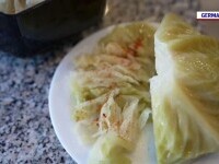 Varza, ingredient nelipsit din bucătăriile Europei. De la nemți la unguri, tradiții și rețete ce au trecut granițele