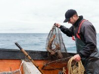 ”Nu am mai văzut niciodată așa ceva”. Un pescar de 26 de ani a prins un pește-canar de peste 4,6 kilograme