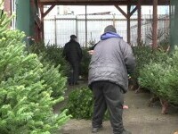 Forfotă în piețe înainte de Crăciun. Comercianții au redus prețurile brazilor