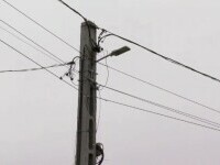 Un primar din Bistrița-Năsăud acuză un consilier că s-ar fi branșat ilegal la curent pentru a alimenta ferma sa de vaci