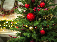 Cum să speli corect bradul de Crăciun artificial. Pași esențiali înainte de a-l împodobi