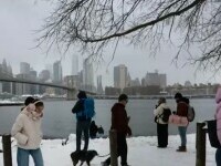 Stare de urgență decretată în New York și New Jersey, după o furtună de zăpadă. Sute de zboruri au fost anulate