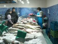 De ce peștele românesc este greu de găsit înainte de Revelion. „Importurile sunt mari”