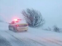 Alertă de vreme rea în România. Viscolul a doborât copaci și stâlpi de electricitate, mii de oameni afectați. ”E dezastru!”