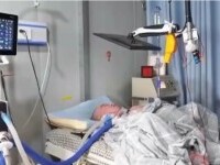 Cum a reușit un bărbat paralizat, care își poate mișca doar un deget, să creeze o fermă inteligentă și să fondeze un start-up