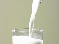 Criza laptelui a 