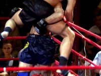 Eugen Preda in ring