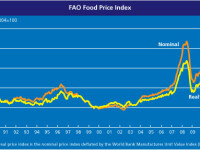 graficul indicelui preturilor alimentelor