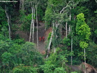 Un trib izolat din bazinul Amazonului, fotografiat pentru prima data. Barbatii au vrut sa atace avionul cu sulitele