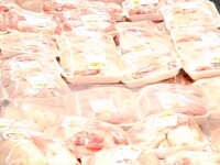 Politistii clujeni au confiscat aproape 100 de kilograme de carne de pasare congelata