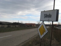 silindia,arad