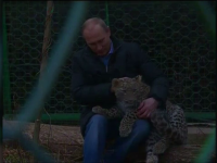Vladimir Putin, in cusca unui leopard. Ce a facut presedintele Rusiei in prima zi la Soci